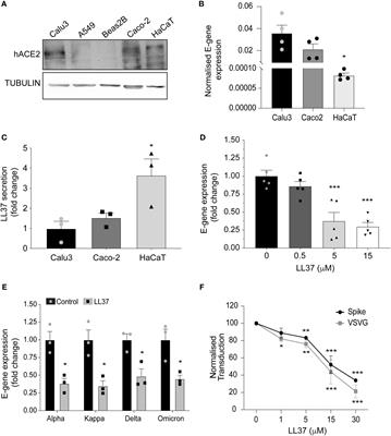 Niacinamide enhances cathelicidin mediated SARS-CoV-2 membrane disruption